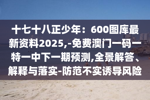 十七十八正少年：600圖庫(kù)最新資料2025,-免費(fèi)澳門一碼一特一中下一期預(yù)測(cè),全景解答、解釋與落實(shí)-防范不實(shí)誘導(dǎo)風(fēng)險(xiǎn)